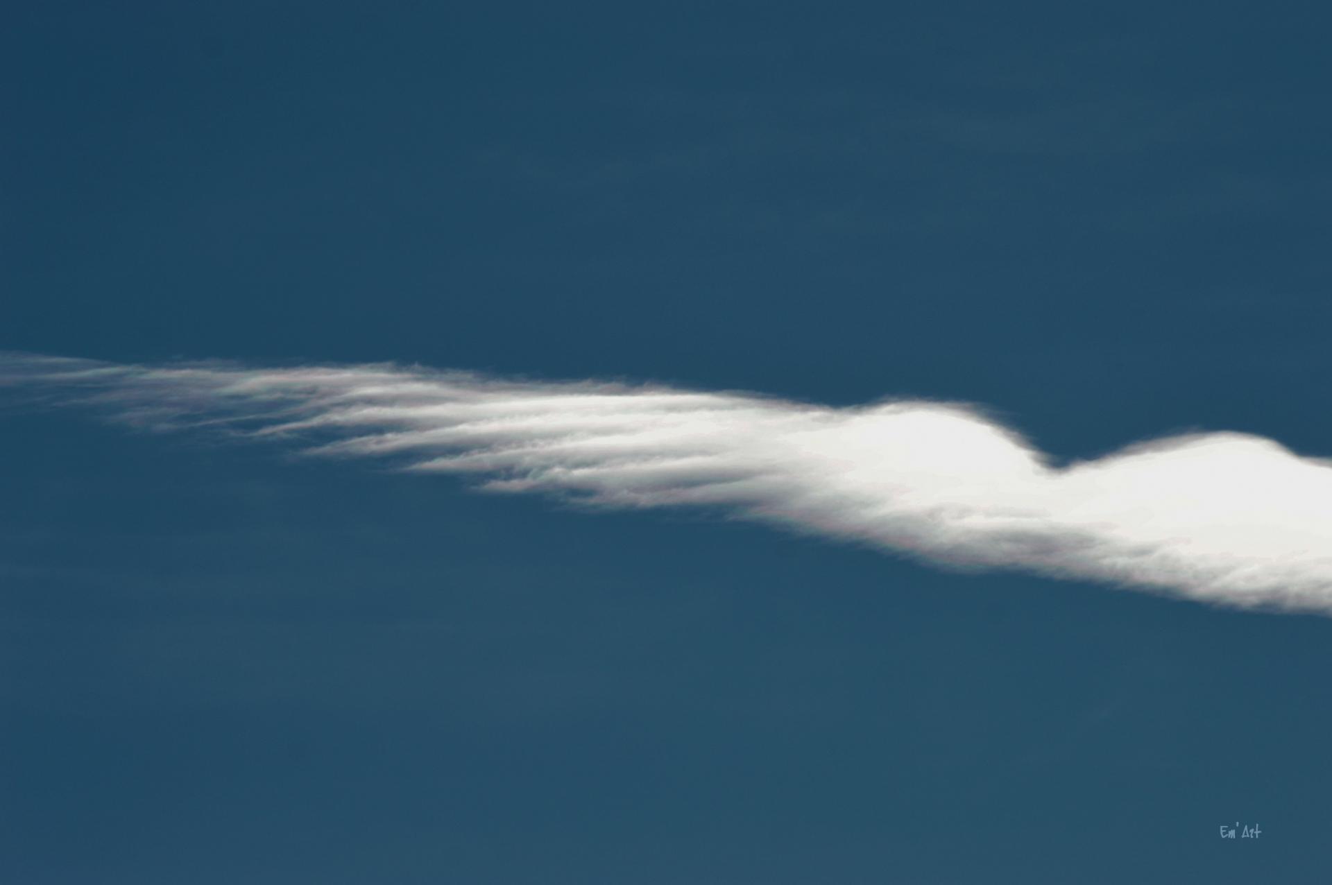 Angel's wing