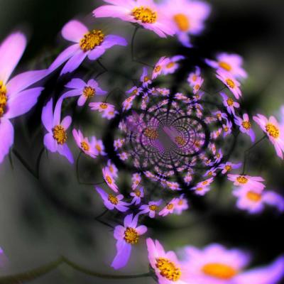 Fleurs mauves fractales radial 18 x 24